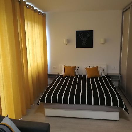 Apartment Oasis Banovo Brdo-Ada Ciganlija Belgrád Kültér fotó