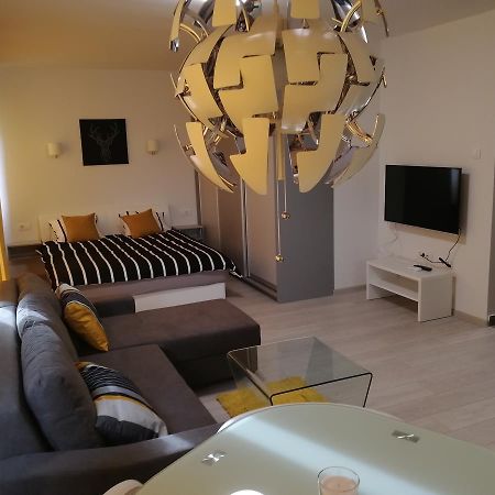 Apartment Oasis Banovo Brdo-Ada Ciganlija Belgrád Kültér fotó